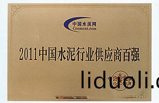 Certificate of industry supplier Top 100