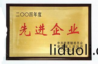 2004 Advanced Enterprise