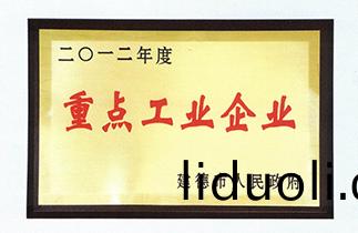 Key industrial enterprises in 2012