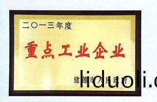 Key industrial enterprises in 2013